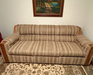 Nice hide a bed couch. Great for when the grandkids come over.