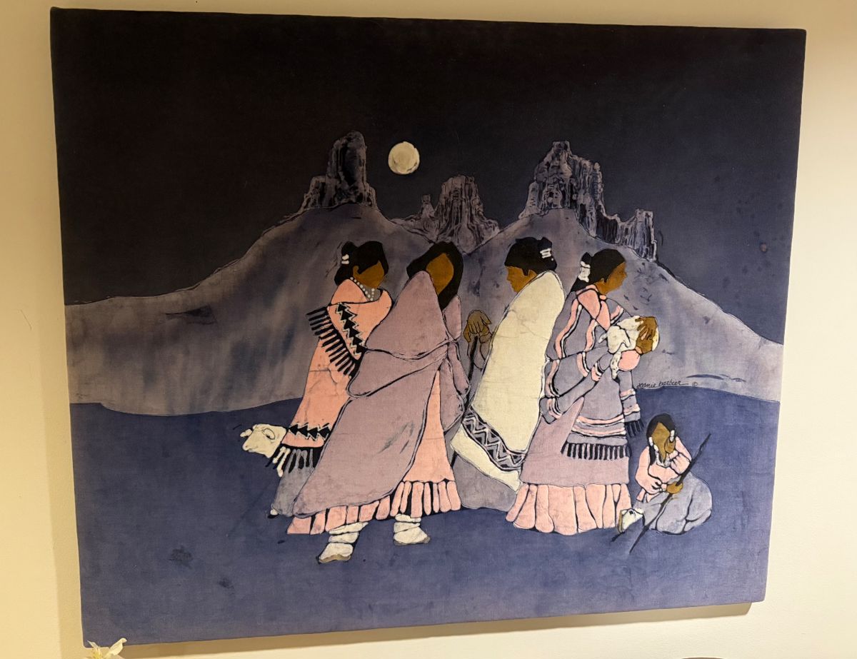 UNIQUE TEXTILE ART BY COLORADO ARTIST JOANIE BARBIER