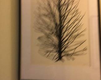 Winter picture