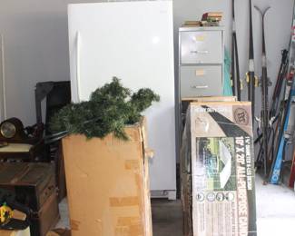 Freezer, Outdoor Canopy and skiis