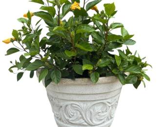 White Plaster Potted Yellow Hibiscus Plant