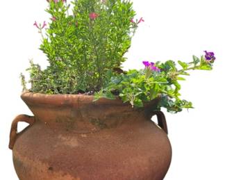 Large Outdoor Terracota Planter and Plant