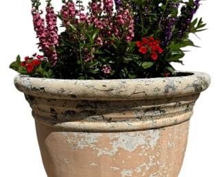 Outdoor Flowers in a Plaster Pot