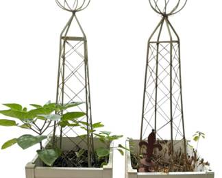 2 Square White Planter Boxes