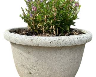 Large Plaster Outdoor Planter