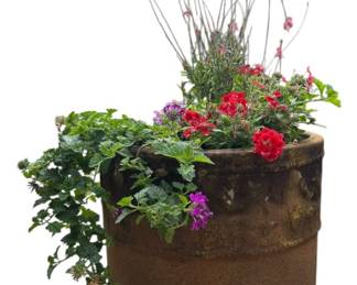 Concrete Potted Flowers