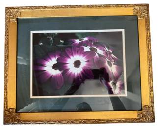 Gold Framed Purple Daisy Still Life Print