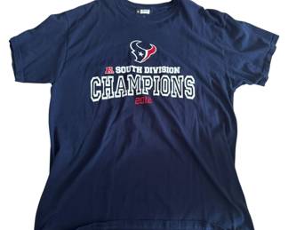 Houston Texans 2012 South Division Champ