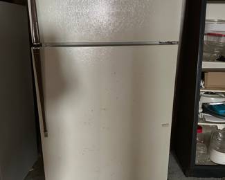 Garage basement Refrigerator