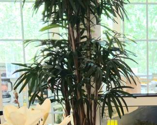 Bamboo palm tree is over 8 feet tall. In brass planter