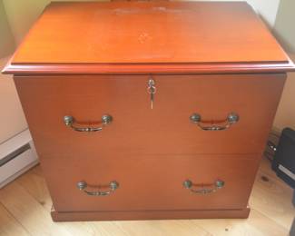 2 drawer file cabinet