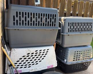 4 large dog crates