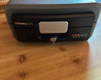 Sentry Fire/Water Proof Safe