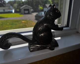 This Squirrel escaped from my house and needs a new home!
