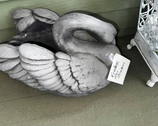 lovely swan