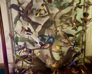 Wonderful Victorian N American Diorama - must see to appreciate!