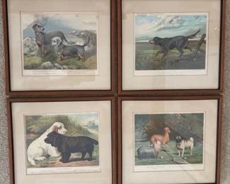 Old Dog Breed Prints -very sweet
