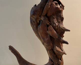 Driftwood Seahorse