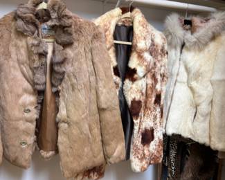 Lots of Furs