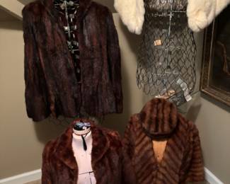 Fur Jackets and Stole