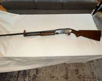 Remington 22 Long Rifle