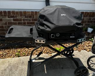 Ninja Woodfire 7-1 grill