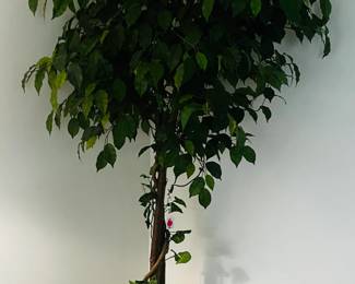 Artificial tree wants to leave