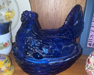 Cobalt blue hen on nest