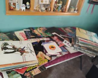 LOTS OF RECORDS IN FAMILY ROOM