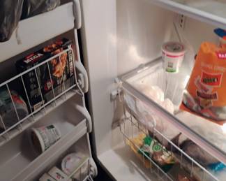 INSIDE OF FREEZER