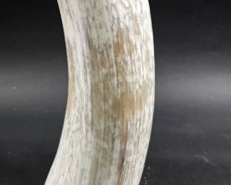 horn vase