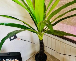 Corn is coming in fine this year.