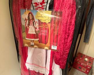 Little Red riding hood costume
