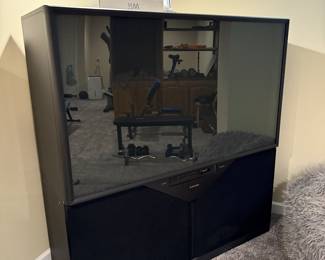Mitsubishi TV & Wii console