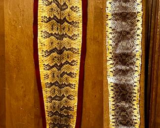 Timber Rattlesnake on felt 60”
Texas Western Diamondback Rattlesnake (no rattle) 71”