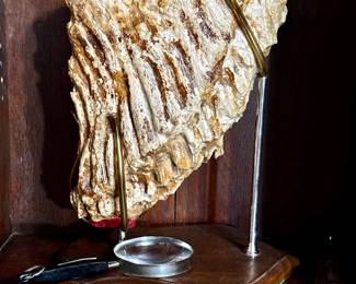 Mammoth Tooth. Professionally mounted on stand. 11.5“ x 9.5“ x 5“.