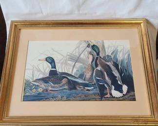 Framed and Matted Duck Print