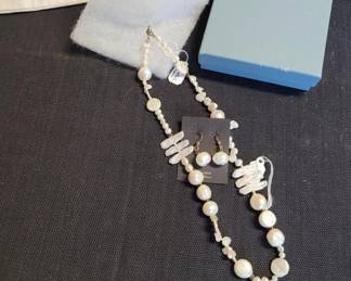 Necklace and Earring Set