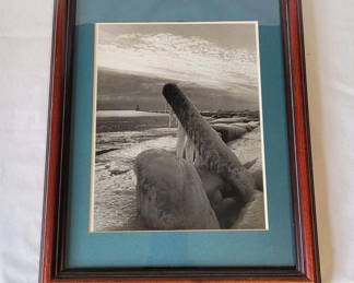 Framed Winter Ice Photograph