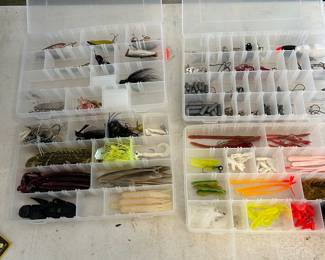 Fishy worms