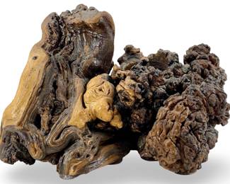 Organic Burlwood Candleholder Decor Piece