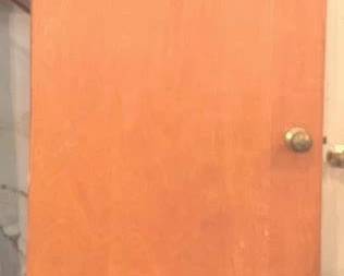 503 - Wood Door - 80" x 32"