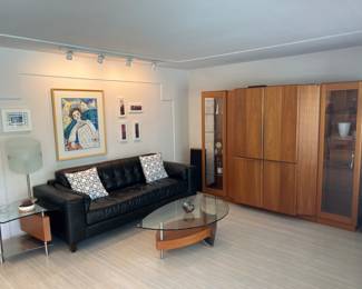 The den has a nice charcoal or black leather couch, two glass top tables, an entertainment center, original art & photos, a Koda Bosta vase and more..