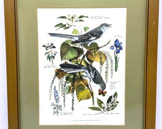 Vintage Arthur Singer Bird Lithograph
Lot #: 74