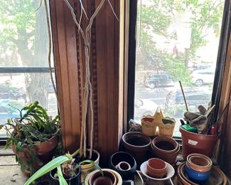 Planters, Flower Pots, Gardening Tools & 3 Live Plants (Over 25 Pieces)
Lot #: 194