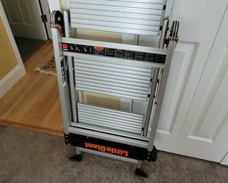 Step ladder