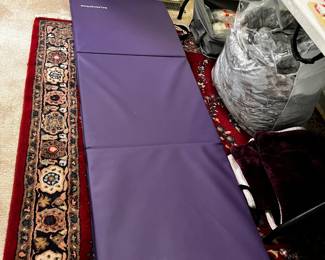 #83 Purple 3 section Balancefrom $20.00