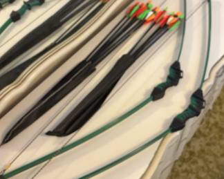 Bear Archery Goblin Youth Bow Set
