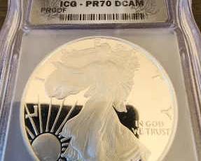 Silver Eagle Proof 20th Anniversary ICG