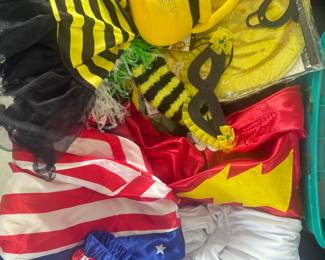Whole Bin Loaded with Cool Halloween Costumes